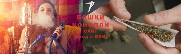 дурь Бронницы