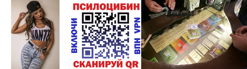 Псилоцибиновые грибы прущие грибы  где купить наркоту  Петропавловск-Камчатский 